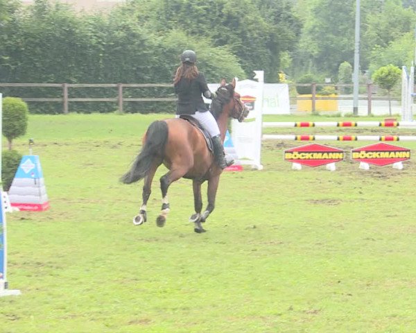 Reitturnier Langenthal 2019