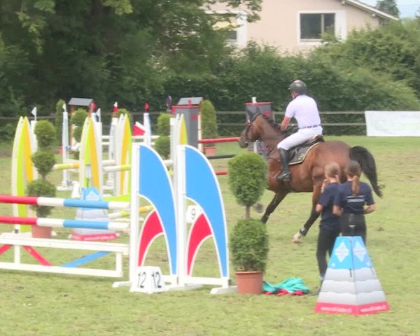 Reitturnier Langenthal 2019