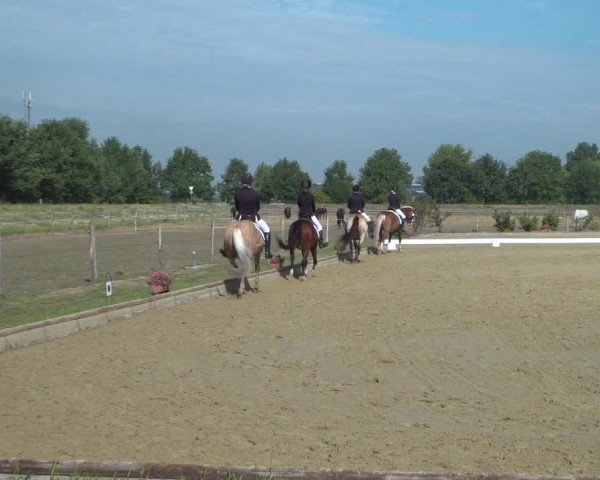 Reitturnier Neuss-Uedesheim 2019