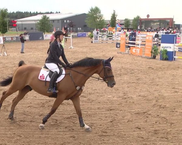 Reitturnier Jagstzell 2019