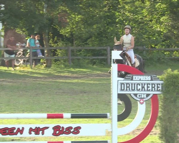Reitturnier Langenthal 2019