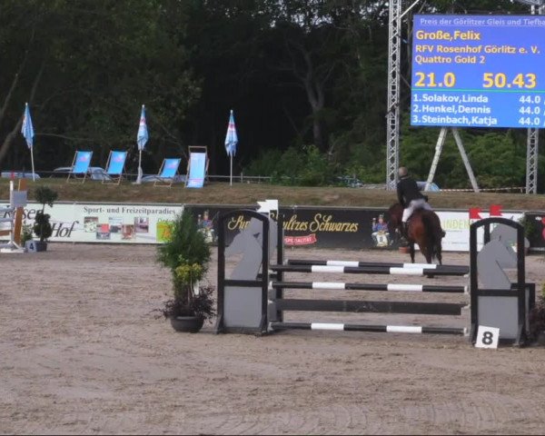 Reitturnier Görlitz 2019