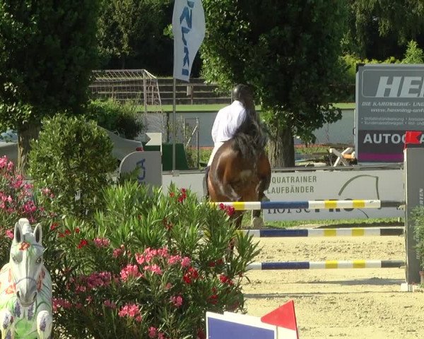 Reitturnier Oberderdingen 2019