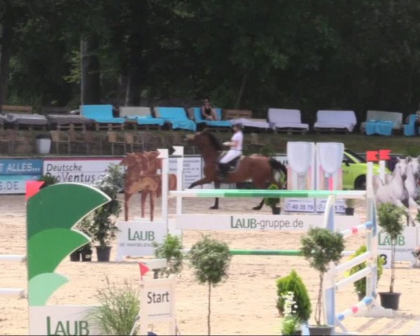 Reitturnier Görlitz 2019