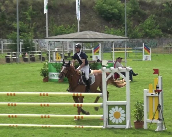Reitturnier Gardelegen 2019