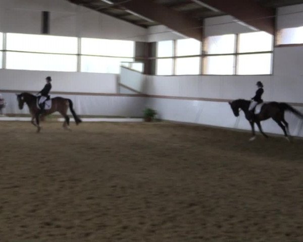 Reitturnier Waltrop 2019
