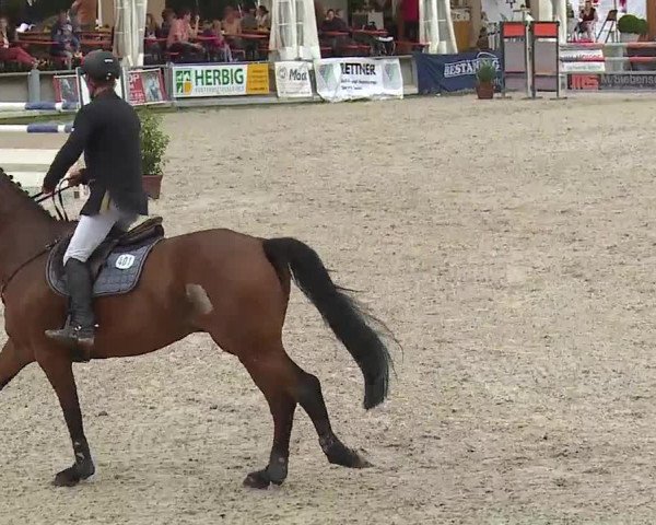 Reitturnier Grafenrheinfeld 2019