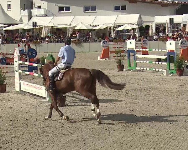 Reitturnier Grafenrheinfeld 2019