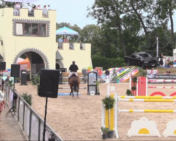 Reitturnier Görlitz 2019