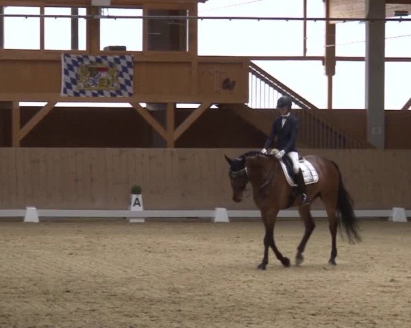 Reitturnier Grafenrheinfeld 2019