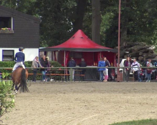 Reitturnier Datteln 2019