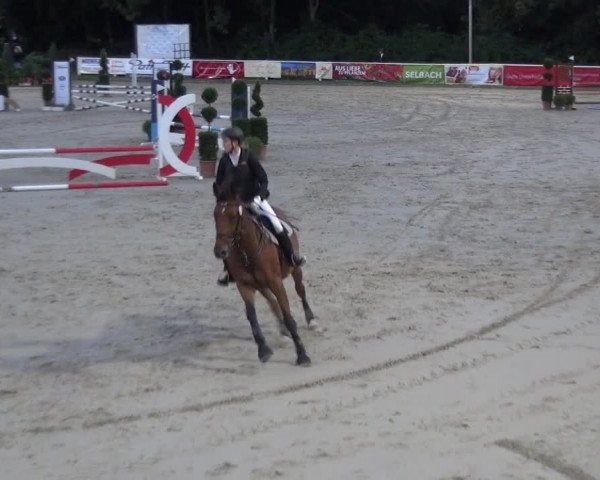 Reitturnier Bergisch Classics - Hebborner Hof 2019