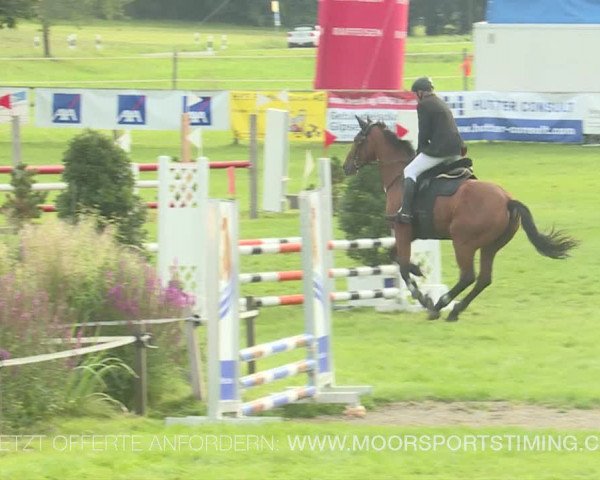 Reitturnier Aadorf 2019