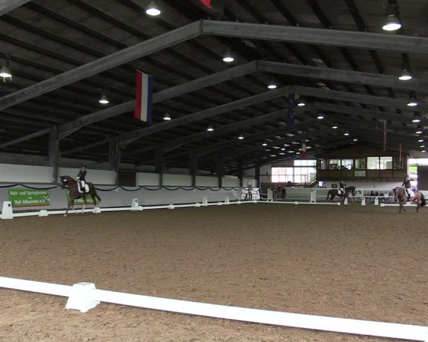 Reitturnier Münster-Albachten 2019