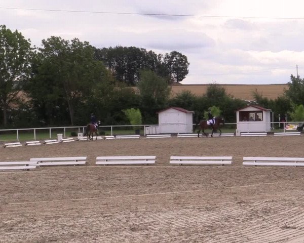 Reitturnier Menden 2019