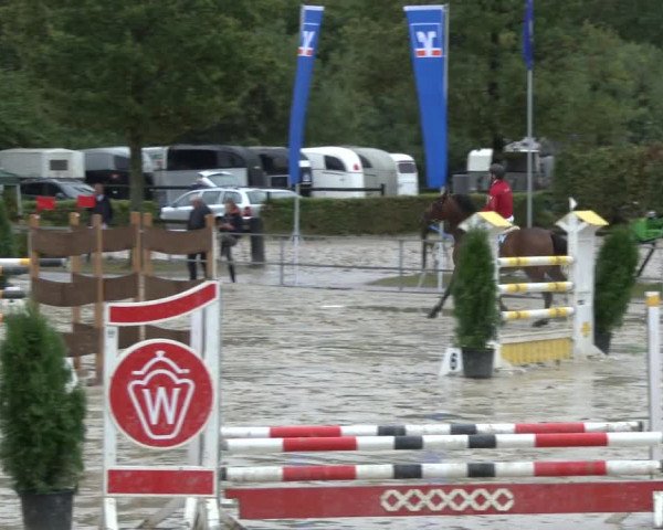 Reitturnier Münster-Albachten 2019