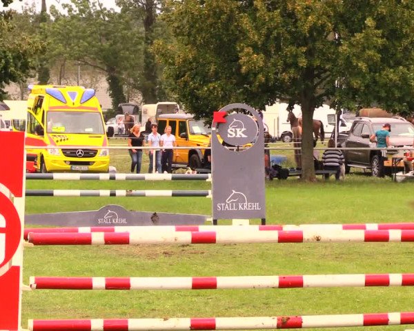 Reitturnier Wulkow 2019