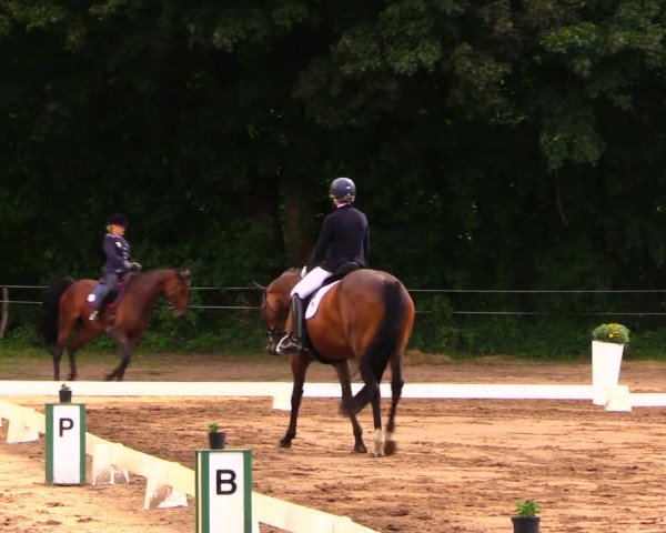 Reitturnier Wulkow 2019