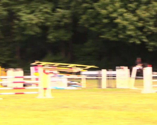 Reitturnier Wulkow 2019