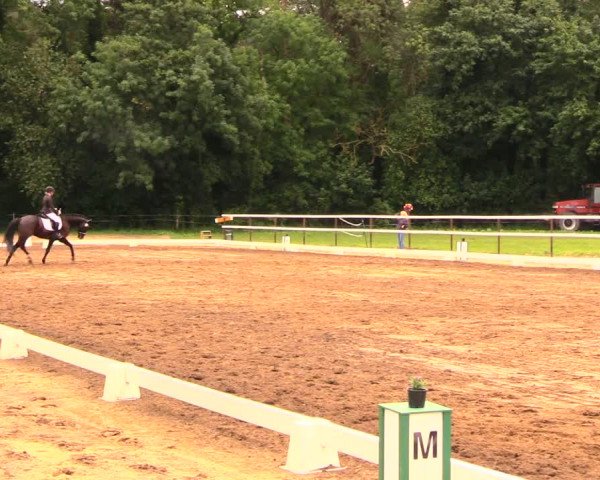 Reitturnier Wulkow 2019