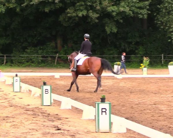 Reitturnier Wulkow 2019