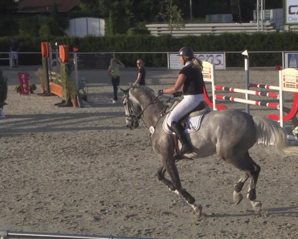 Reitturnier Durmersheim-Hardt 2019