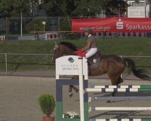 Reitturnier Durmersheim-Hardt 2019