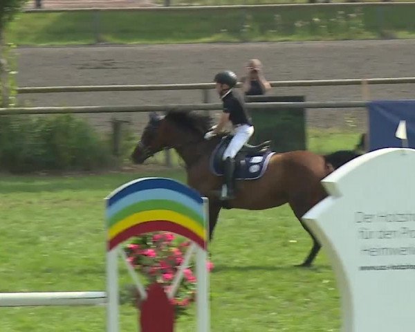 Landesponyturnier Ansbach 2019