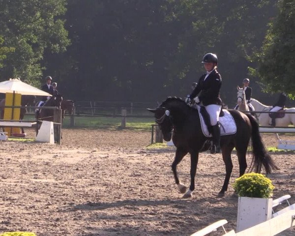 Reitturnier Recklinghausen 2019