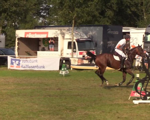 Reitturnier Kellinghusen 2019