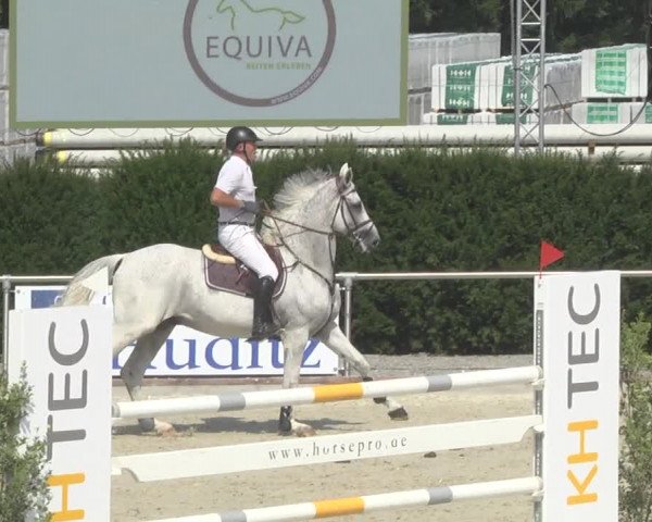 Reitturnier Durmersheim-Hardt 2019