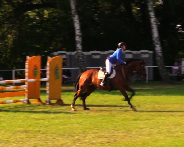 Reitturnier Berlin-Malchow 2019