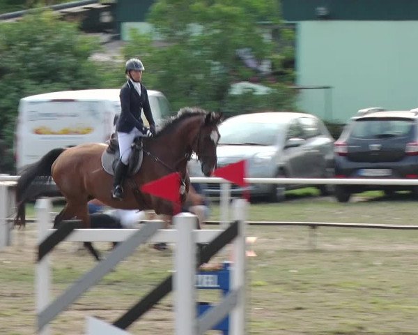 Reitturnier Reckahn 2019