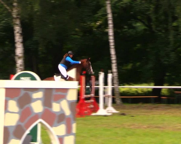 Reitturnier Berlin-Malchow 2019