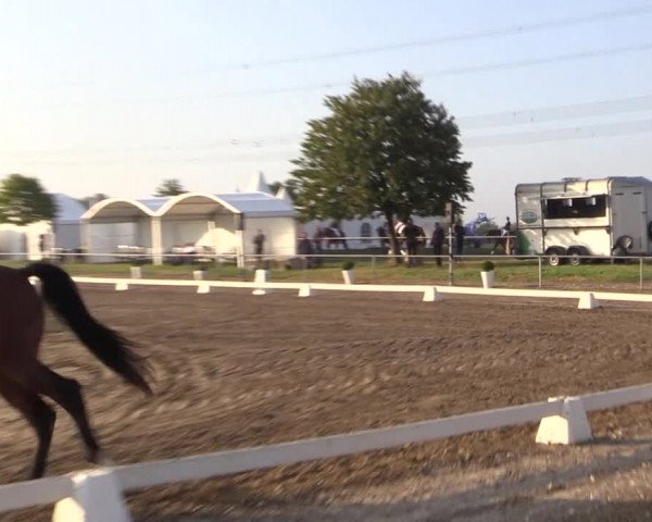 Reitturnier Heinsberg 2019