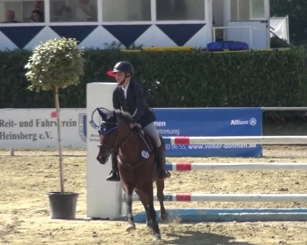 Reitturnier Heinsberg 2019