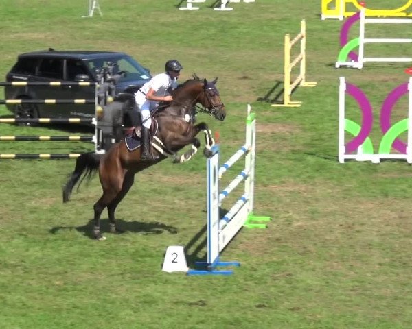 Reitturnier Bietigheim-Bissingen 2019