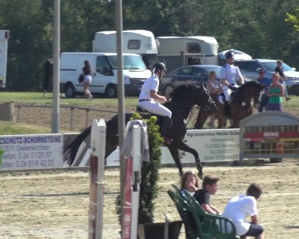 Reitturnier Heinsberg 2019