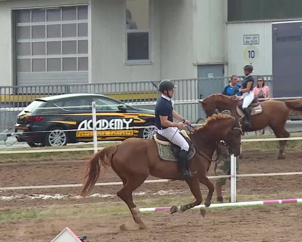 Reitturnier Demantsfürth/Mfr. 2019