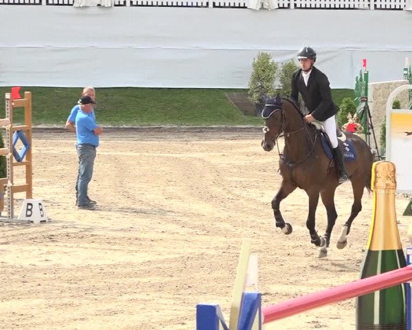 Reitturnier Humlikon 2019