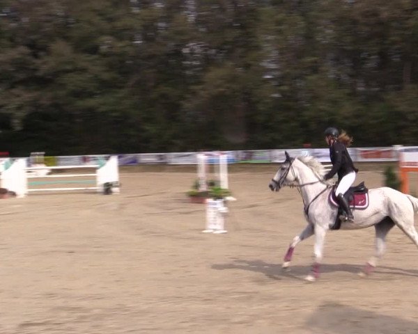 Reitturnier Meinerzhagen 2019