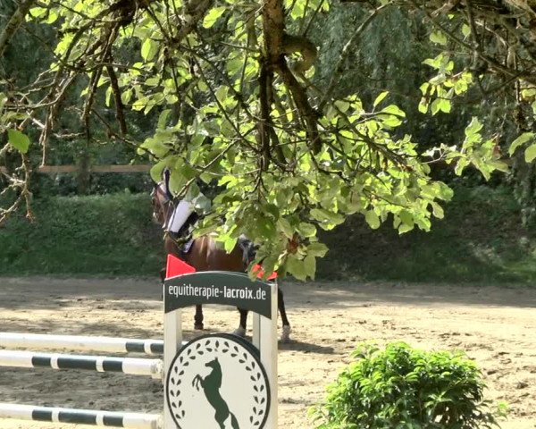 Reitturnier Walldorf/Winterheck 2019