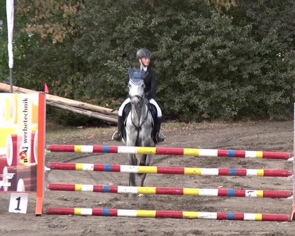 Reitturnier Berlin-Rudow 2019