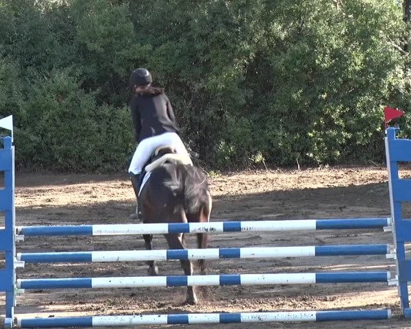 Reitturnier Berlin-Rudow 2019