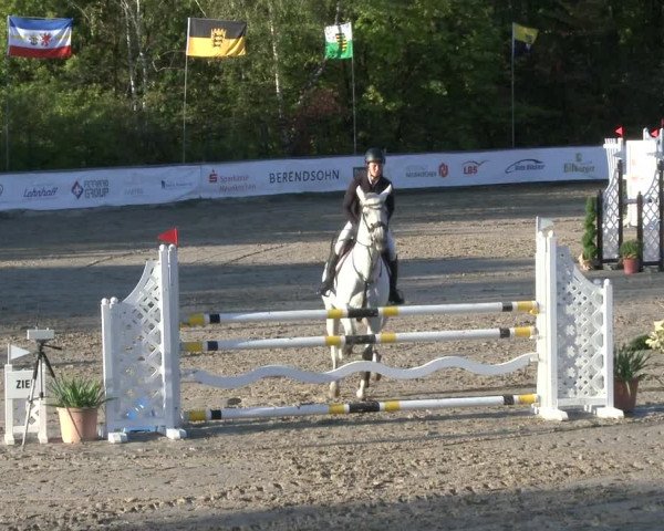 Reitturnier Neunkirchen-City 2019
