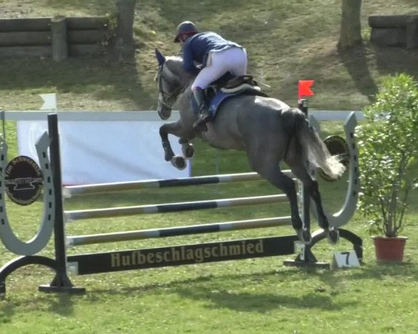 Reitturnier Nußdorf 2019