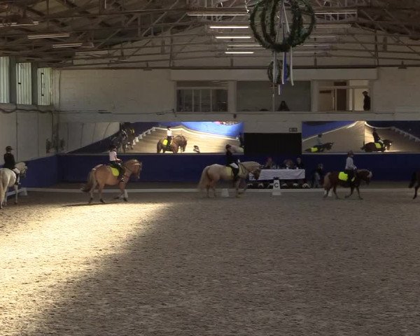 Reitturnier Pforzheim 2019