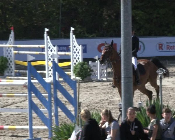 Reitturnier Neunkirchen-City 2019