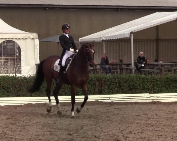 Reitturnier Wedel-Catharinenhof 2019