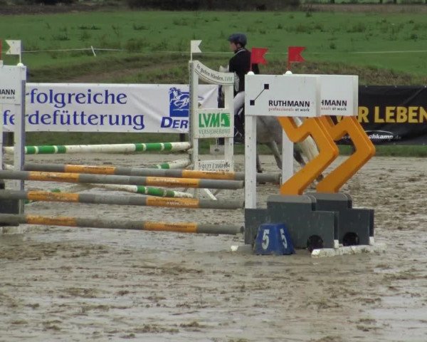 Reitturnier Lüdinghausen-Westrup 2019